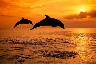 前暴雪开发者即将推出即时战略新作 将于夏季游戏节首秀