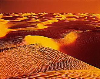 《暗黑破坏神：不朽》未来更新细节：有新职业 还能钓鱼